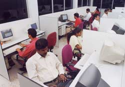 Team of employees working