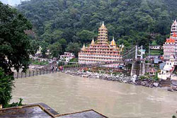 Rishikesh